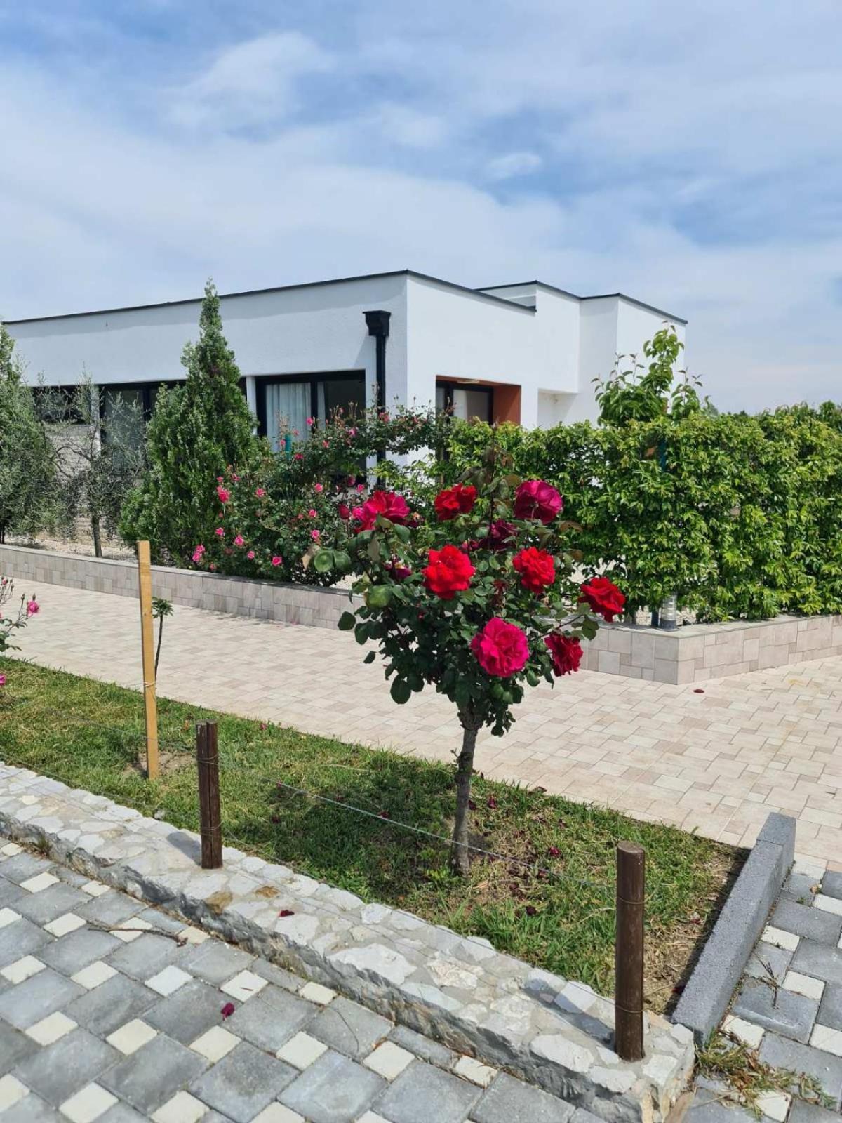 Imperial Family Resort Улцинь Экстерьер фото