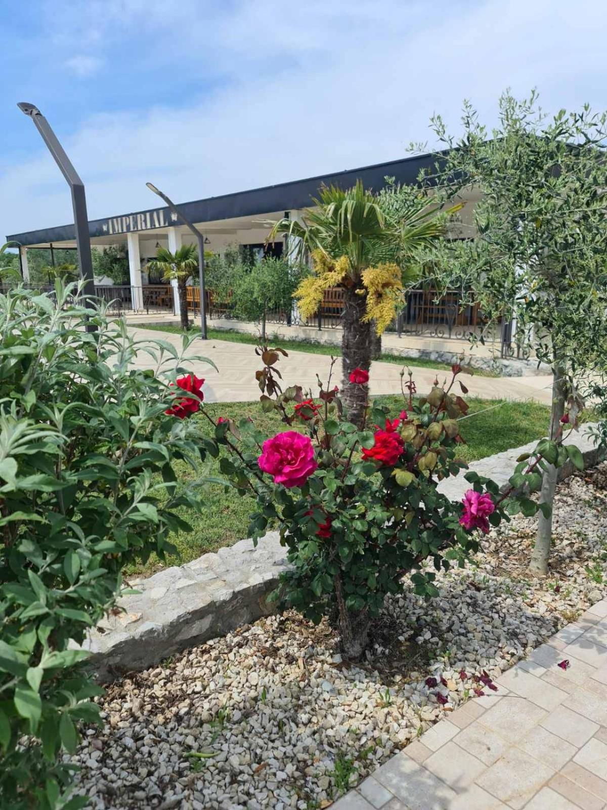 Imperial Family Resort Улцинь Экстерьер фото
